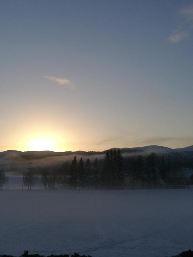 Appartamento Stabburet, Lensmannsgarden Namsos Esterno foto
